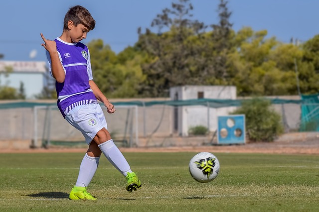 合作的精彩 合作的精彩