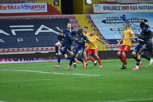 贝尔纳多 贝尔纳多