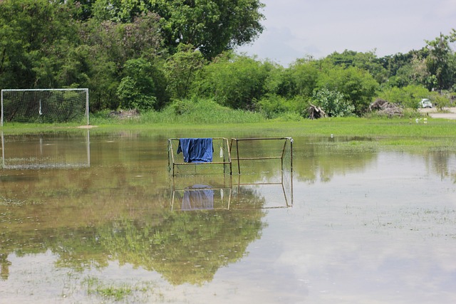对于球迷和 对于球迷和