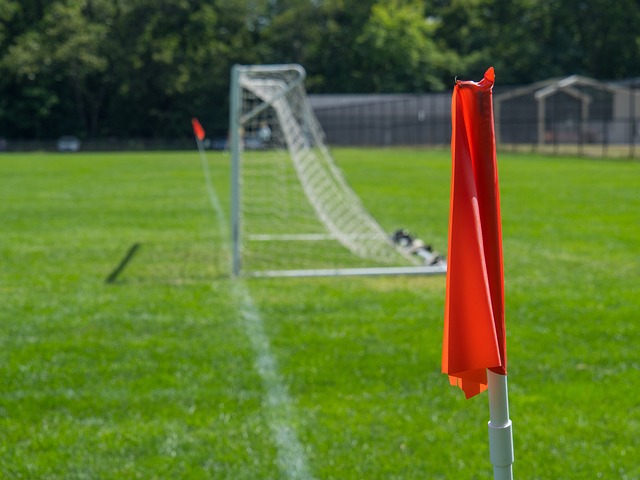 固了他在 固了他在