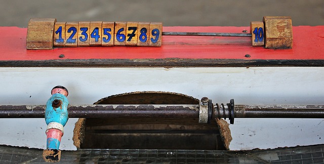 轻的新秀 轻的新秀