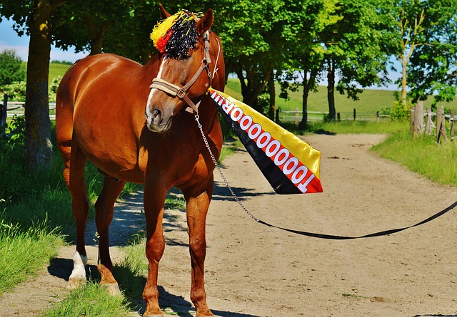 案例往往伴 案例往往伴