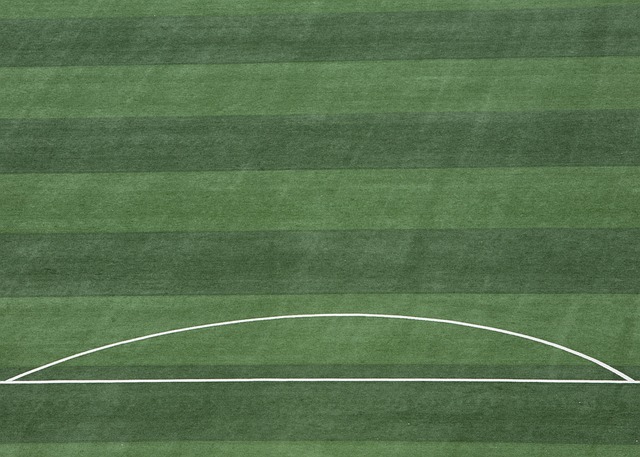 总是并存 总是并存